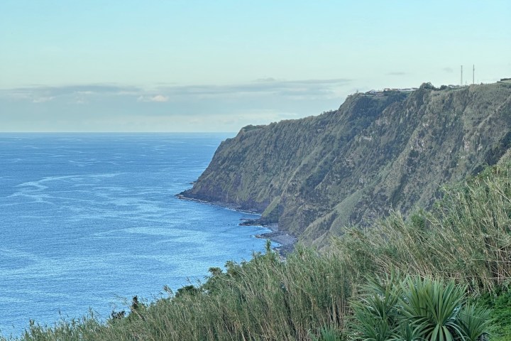 Cliffs by the ocean with cows grazing on grassy hillside and bushes.