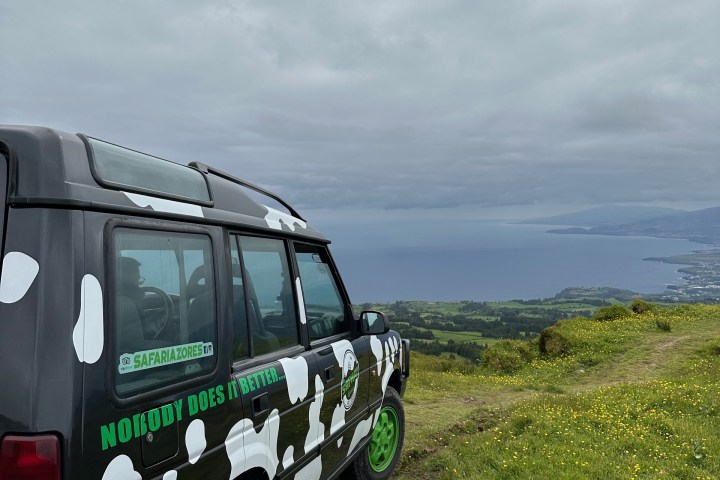 SUV with cow spots on a grassy hill overlooking the ocean and coastline.