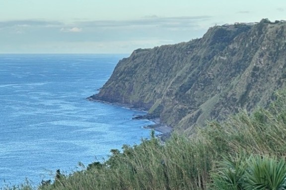 Cliffside with ocean view and greenery in the foreground.
