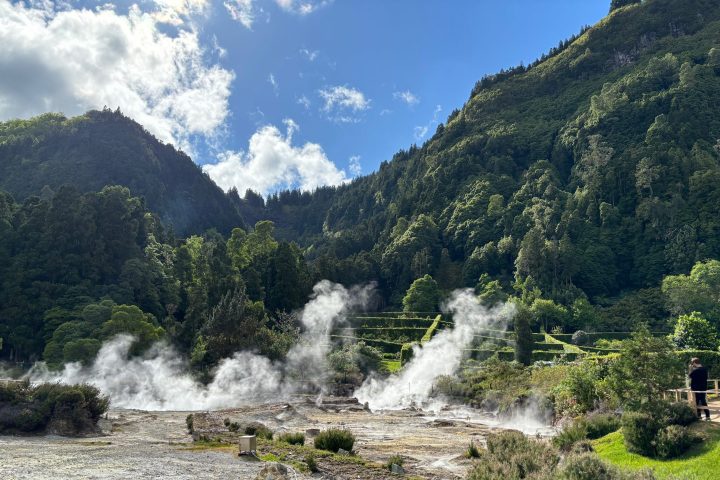 Steam rising from hot springs with lush green forest and mountains under a blue sky with clouds.