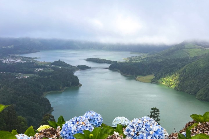 Blue hydrangeas in foreground with a view of a large lake and cloudy sky in the background.