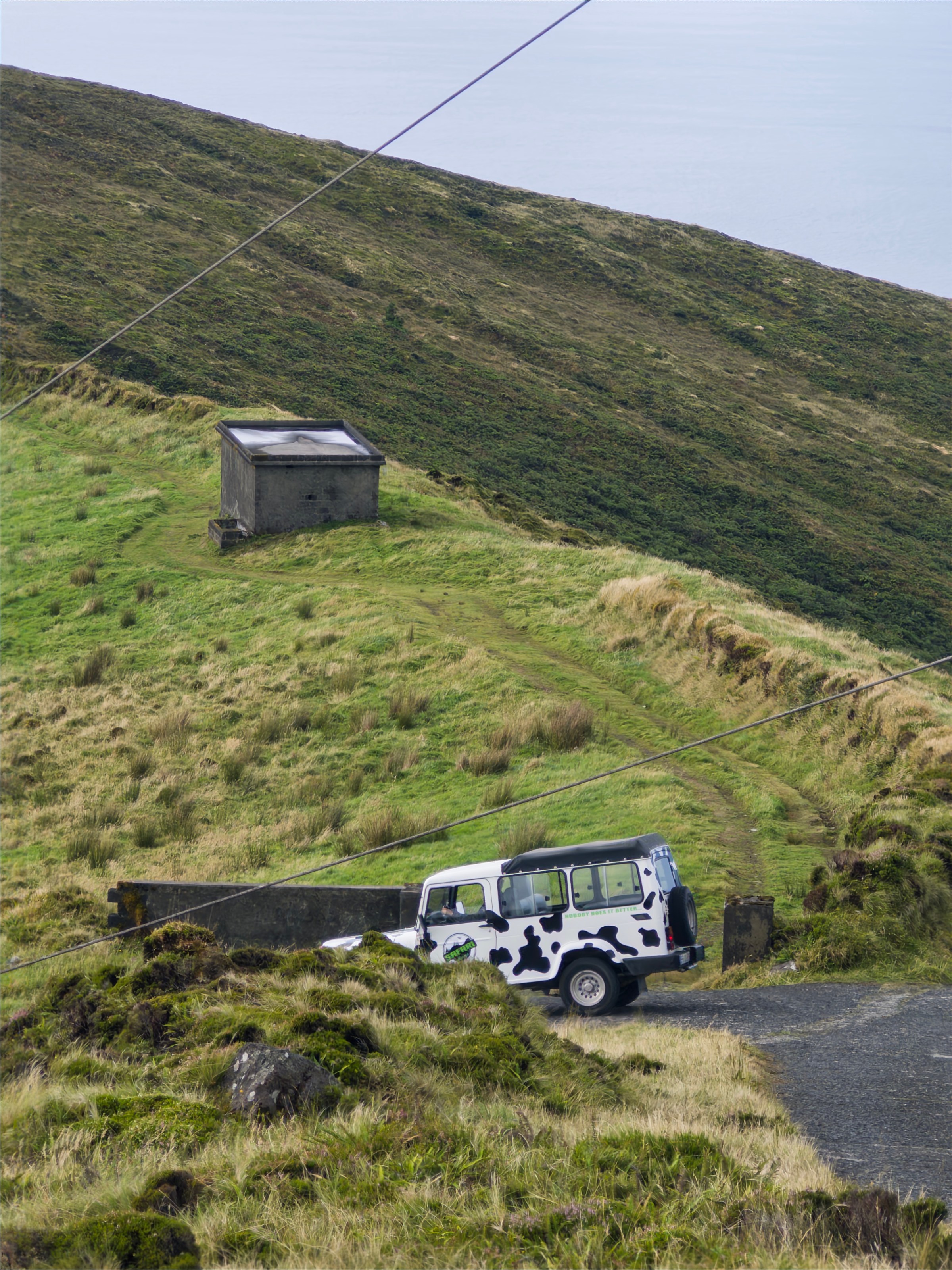 Land Rover with cow print parked on grassy hill near a small shed.