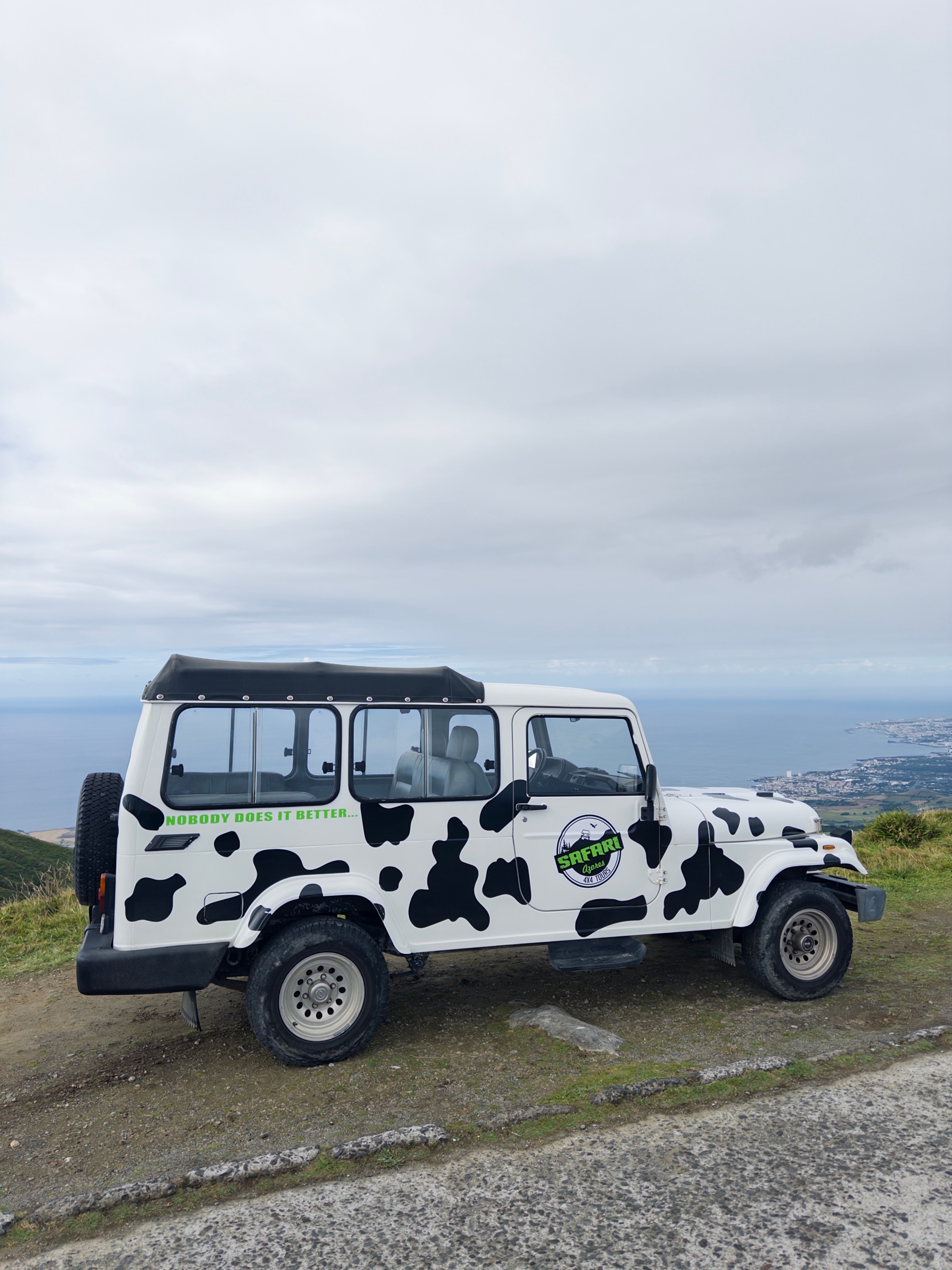 Jeep with cow pattern parked on a hill overlooking a coastal city and ocean.
