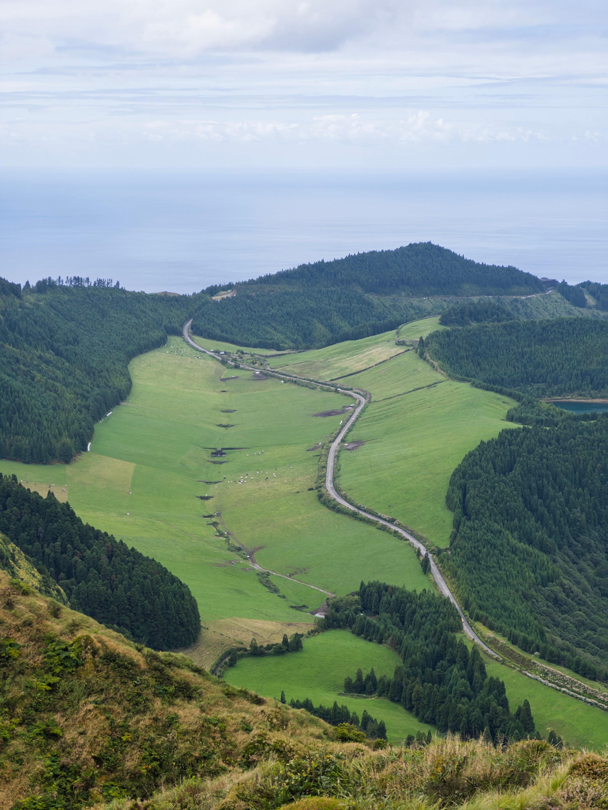 Scenic view of winding road through lush green valley with ocean in the background.
