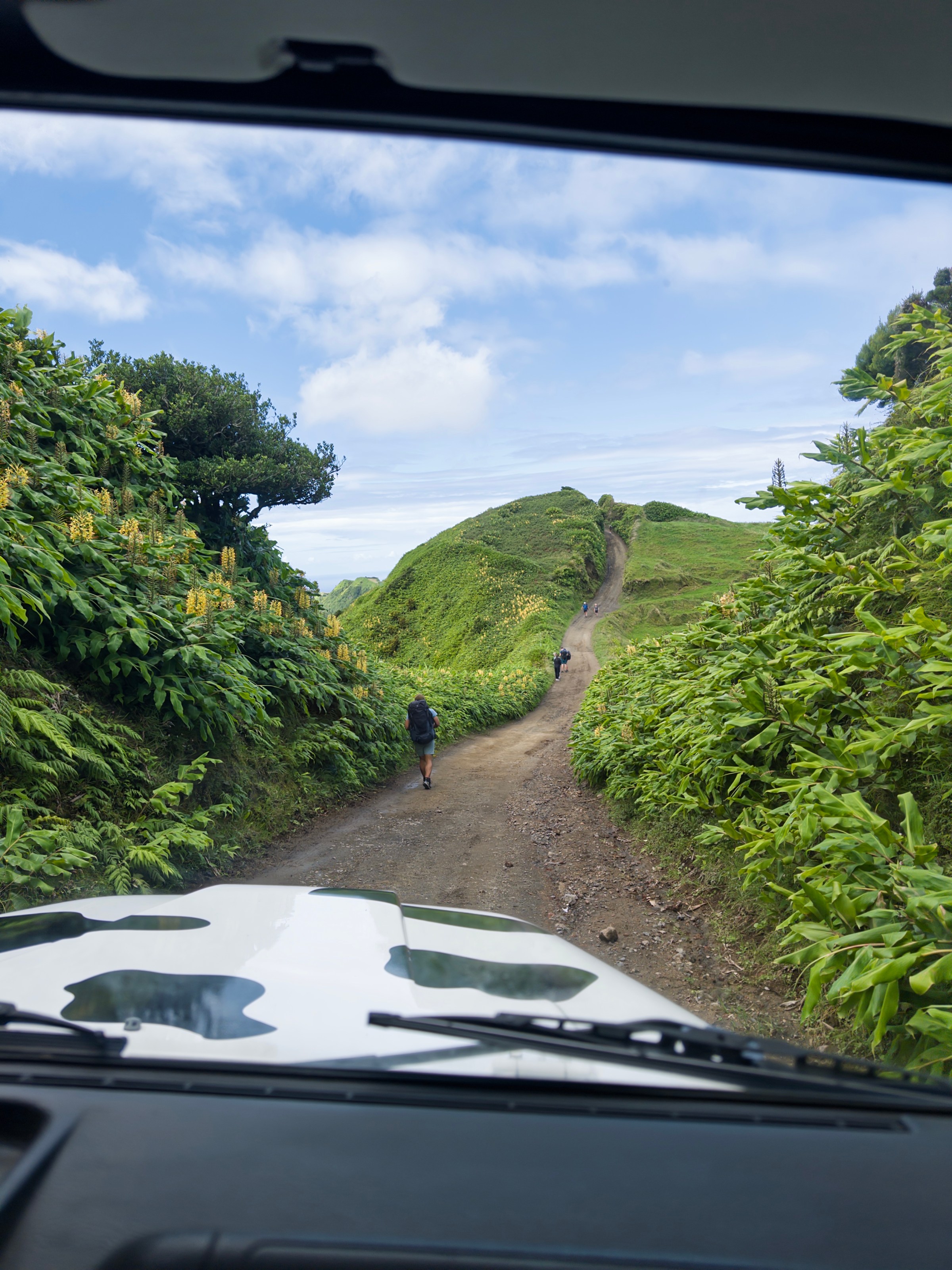 View from car on a dirt road with two hikers and lush greenery under a blue sky.