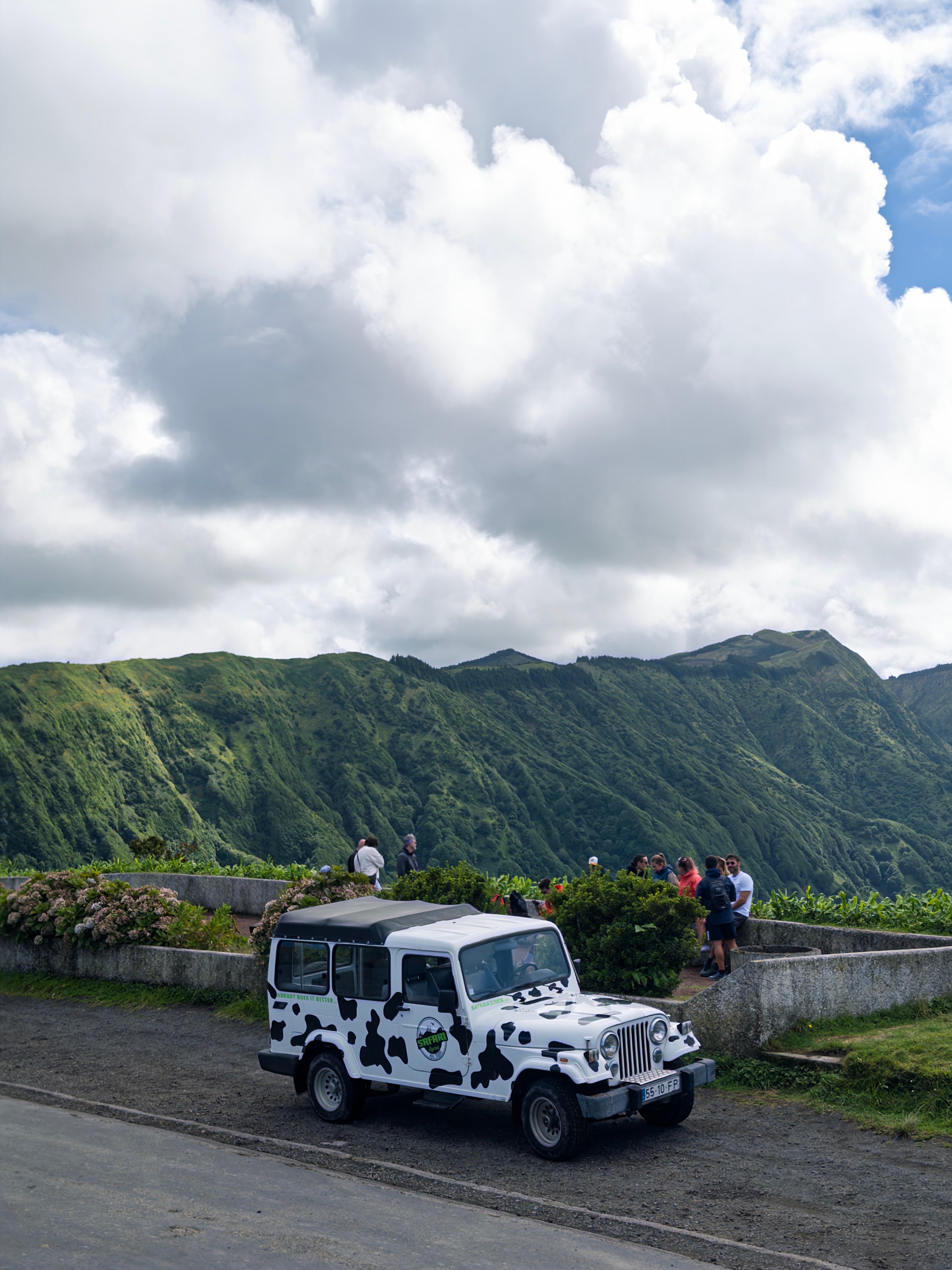 Jeep with cow pattern parked near green hills and cloudy sky.