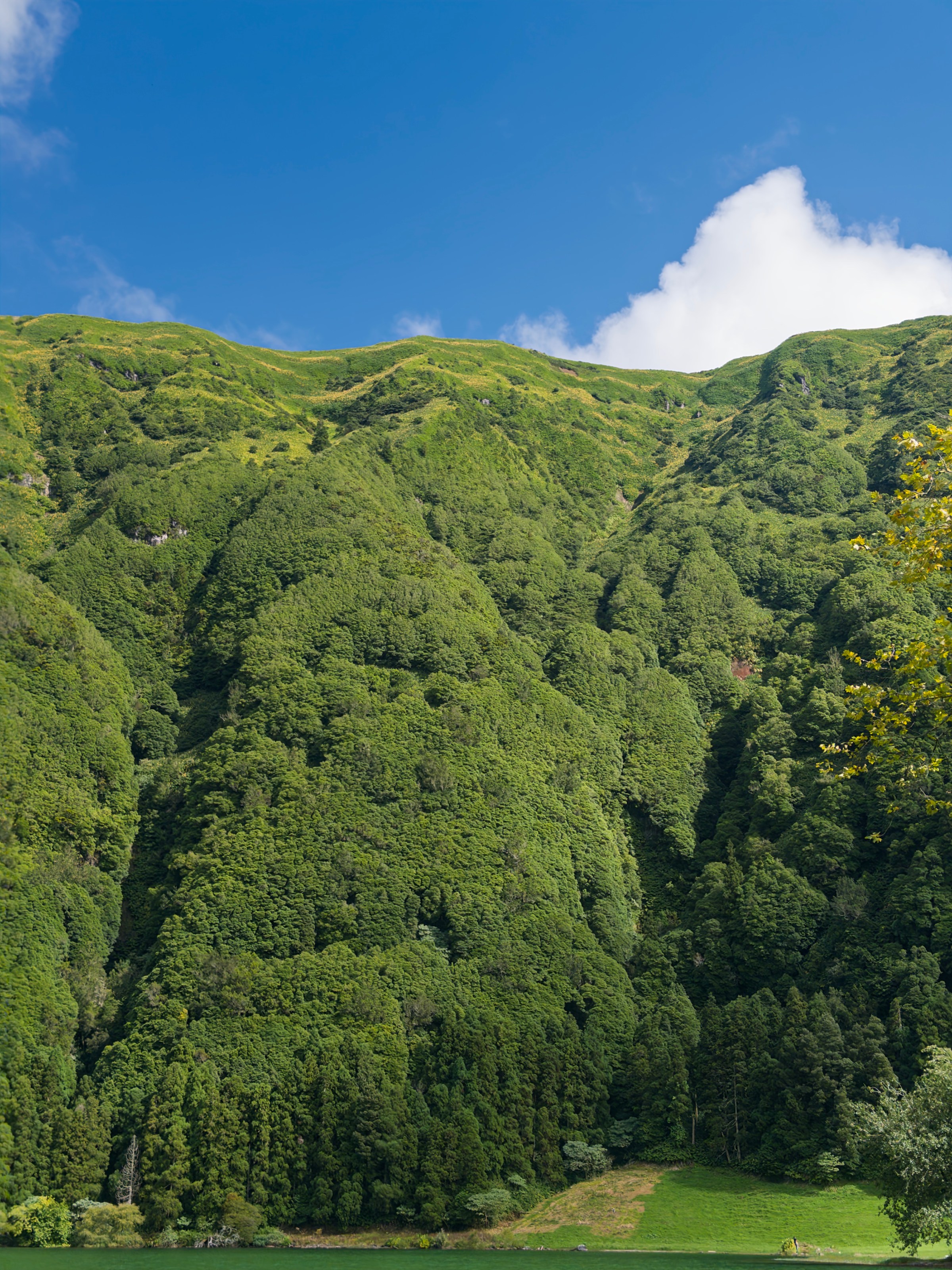 Lush green hillside under a clear blue sky with a few clouds.