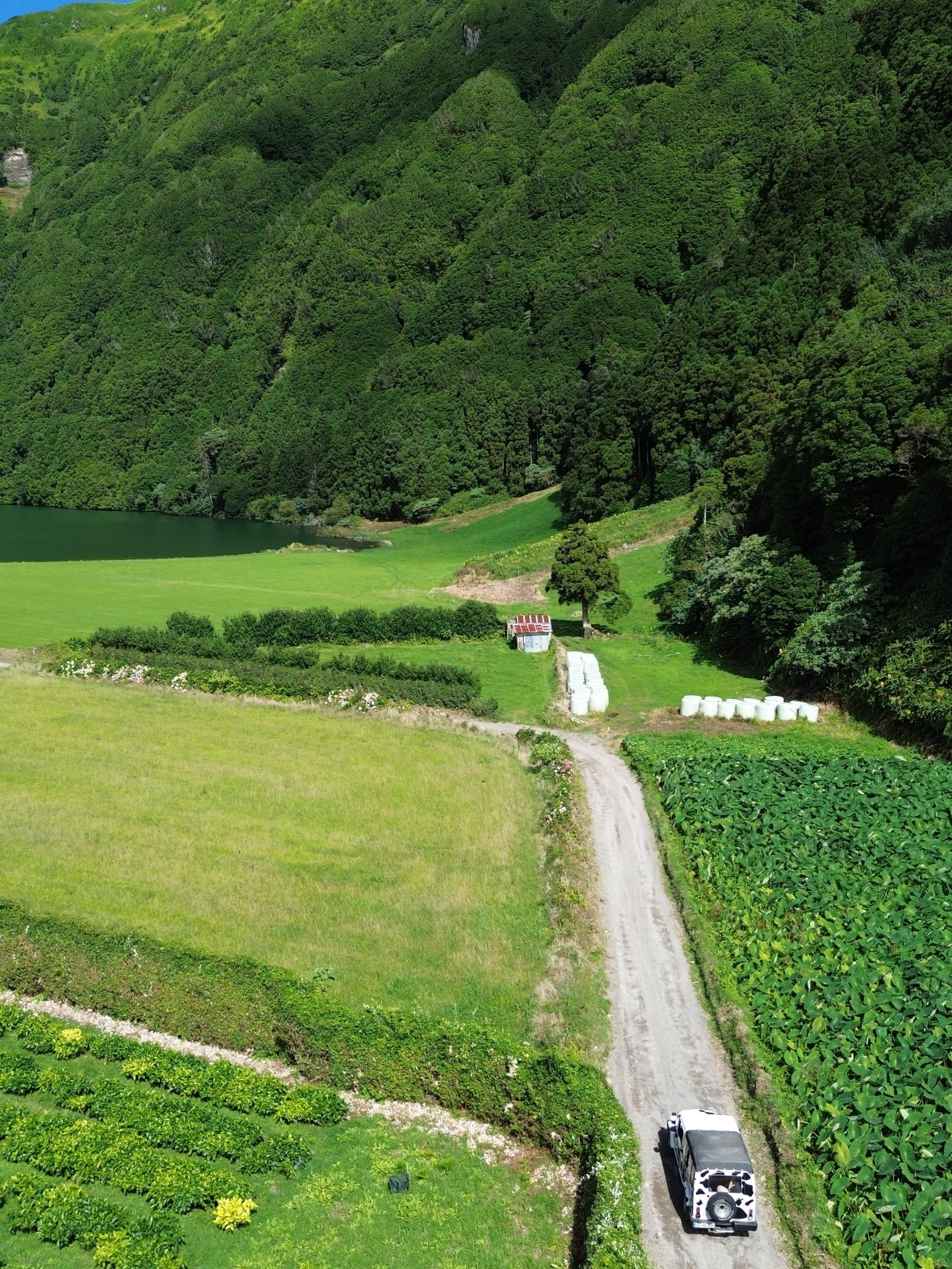 Aerial view of a lush green valley with a dirt road and a vehicle driving through fields.